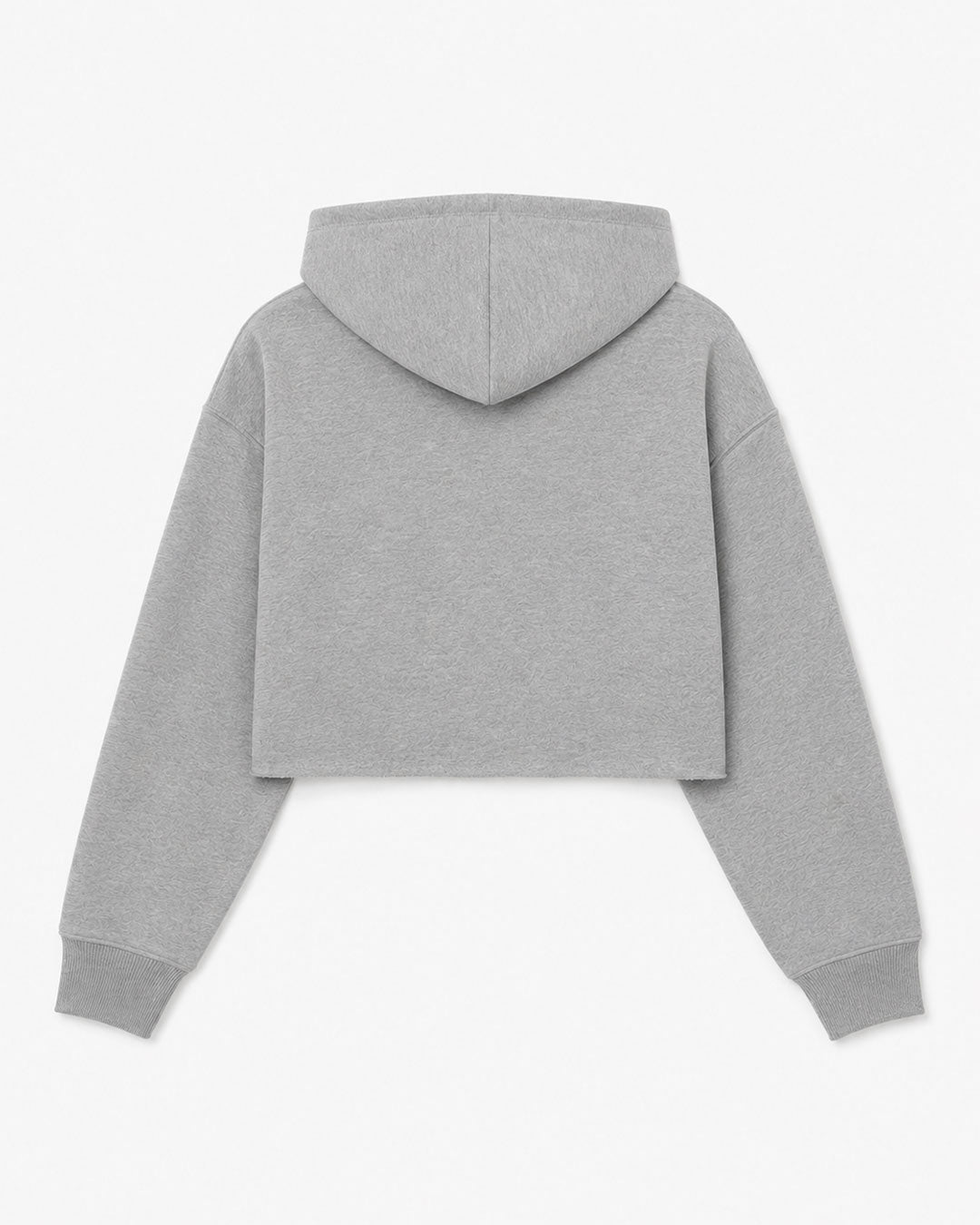 En Chennai | Grey Cropped Hoddie